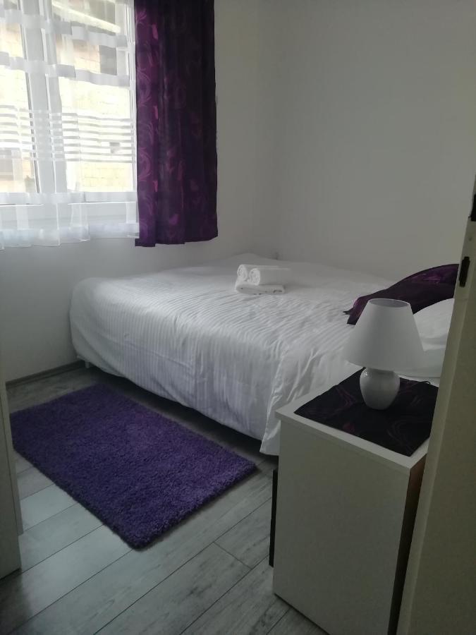 Fenix Apartment & Rooms Vinci Dış mekan fotoğraf
