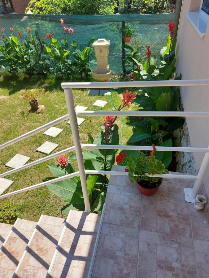 Fenix Apartment & Rooms Vinci Dış mekan fotoğraf