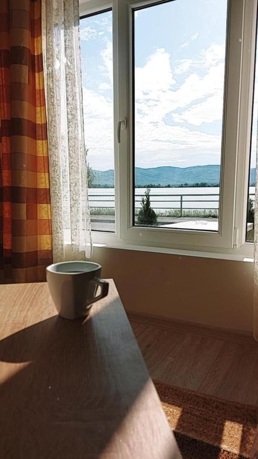 Fenix Apartment & Rooms Vinci Dış mekan fotoğraf